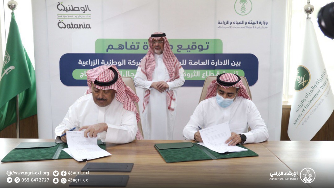 الوطنية