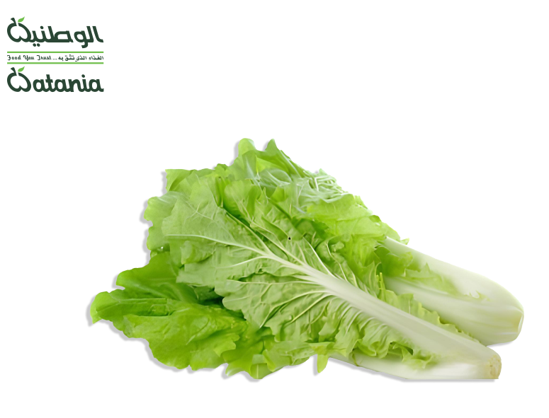 الوطنية