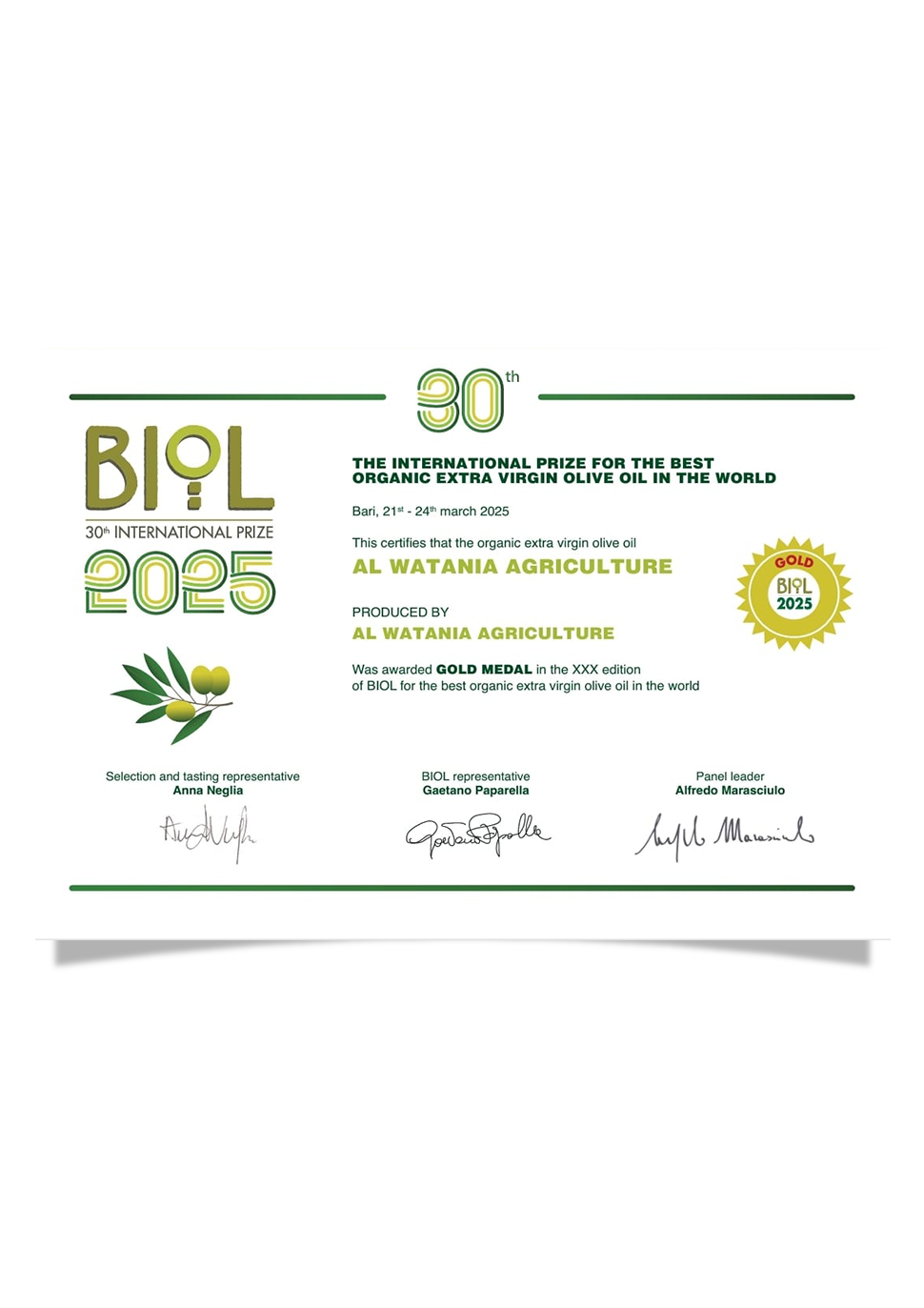 Certificate Gold Biol 2025