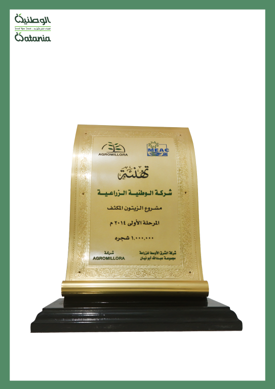 Certificate 9