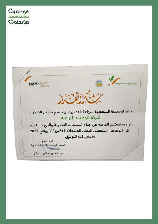 Certificate 18