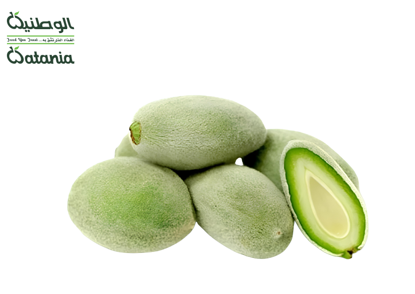 الوطنية