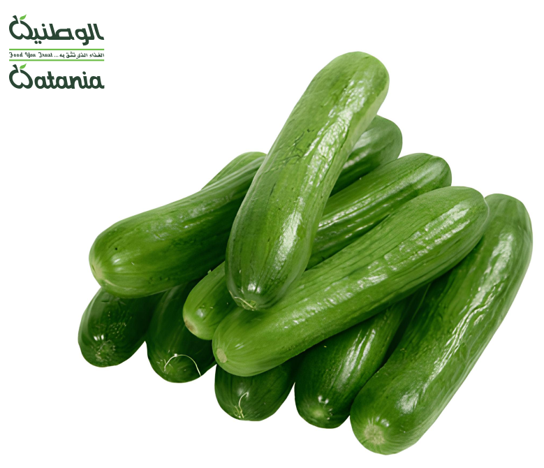 الوطنية