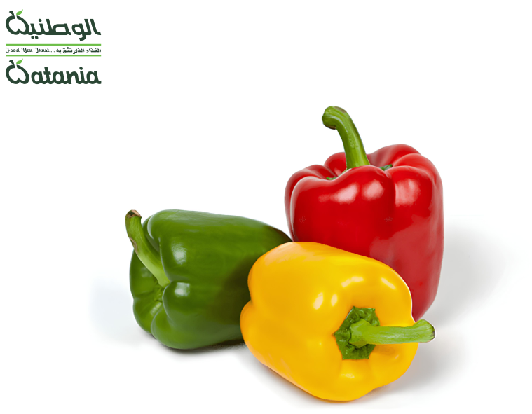 الوطنية