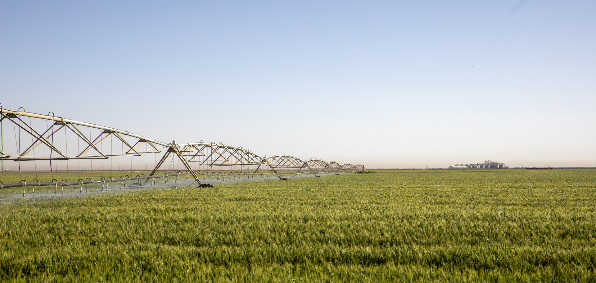 الوطنية الزراعية