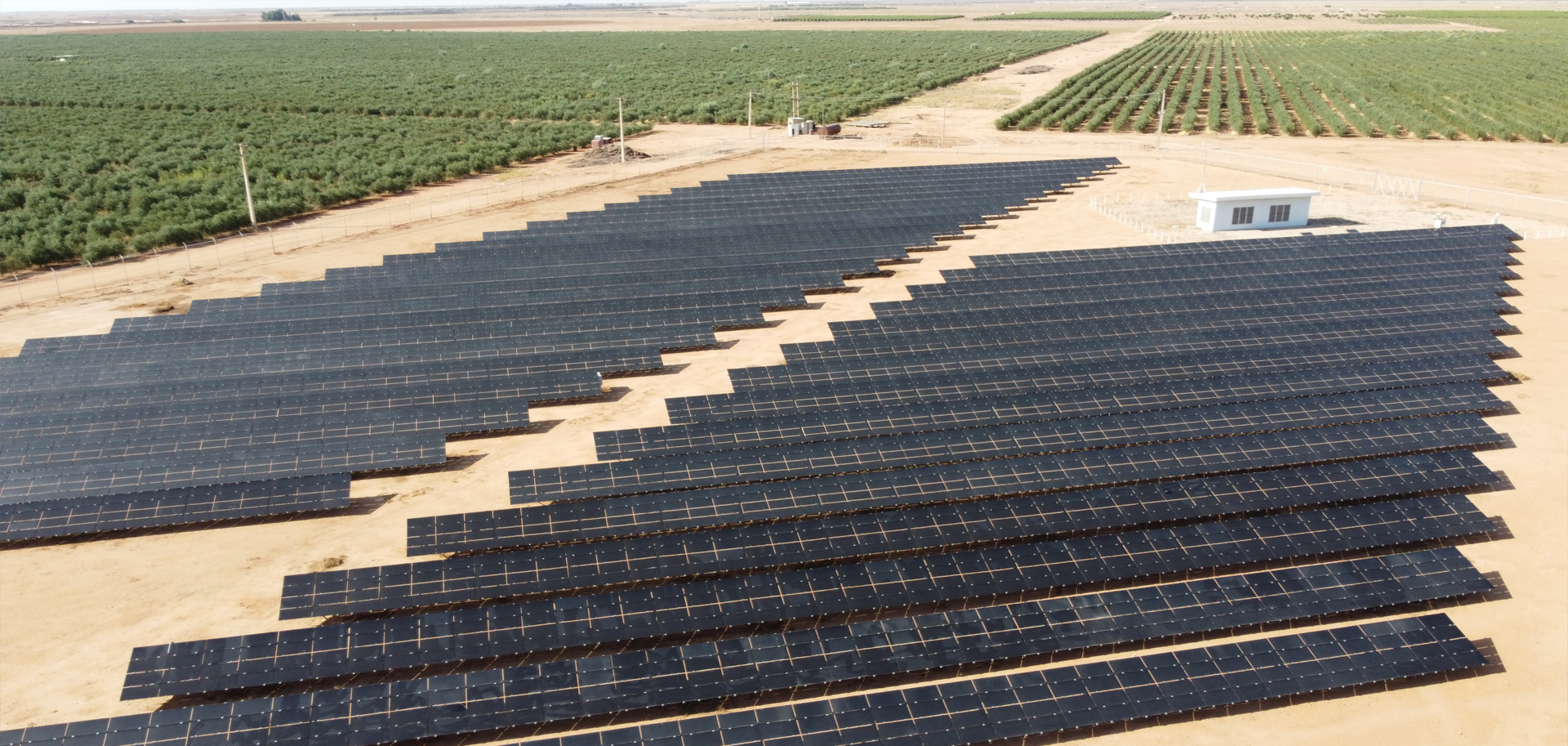 الوطنية الزراعية