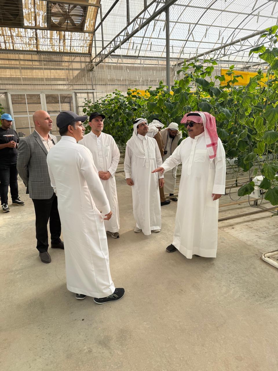 زيارة رئيس مجلس ادارة شركة الوطنية الزراعية  لمشروع الشركة  بالخرج للزراعة المائية لانتاج الخضار .