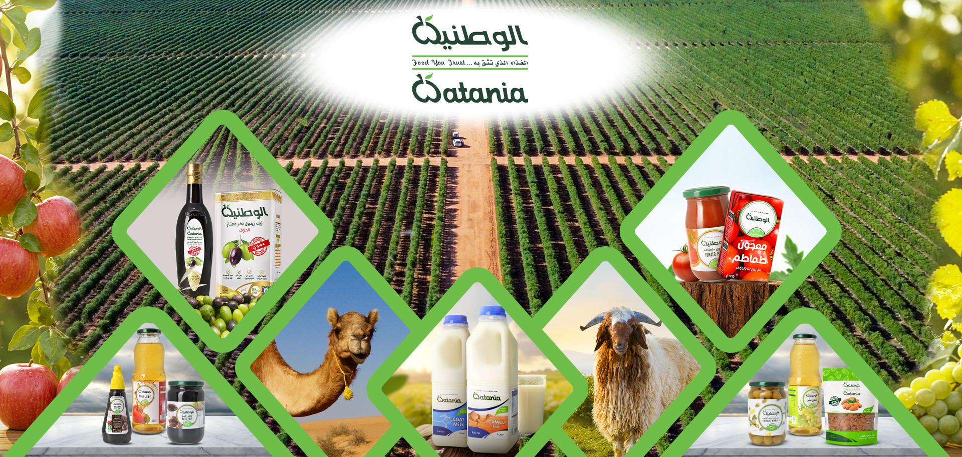 الوطنية الزراعية