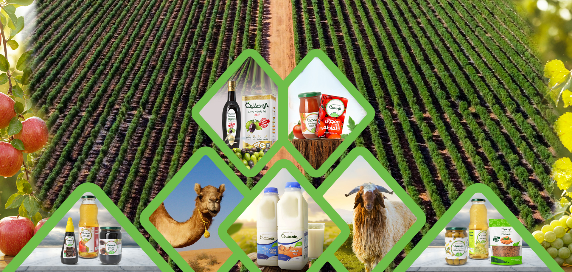 الوطنية الزراعية